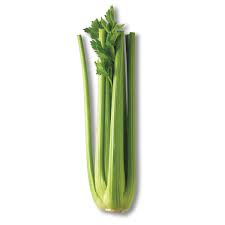 Celery Stem Packed
